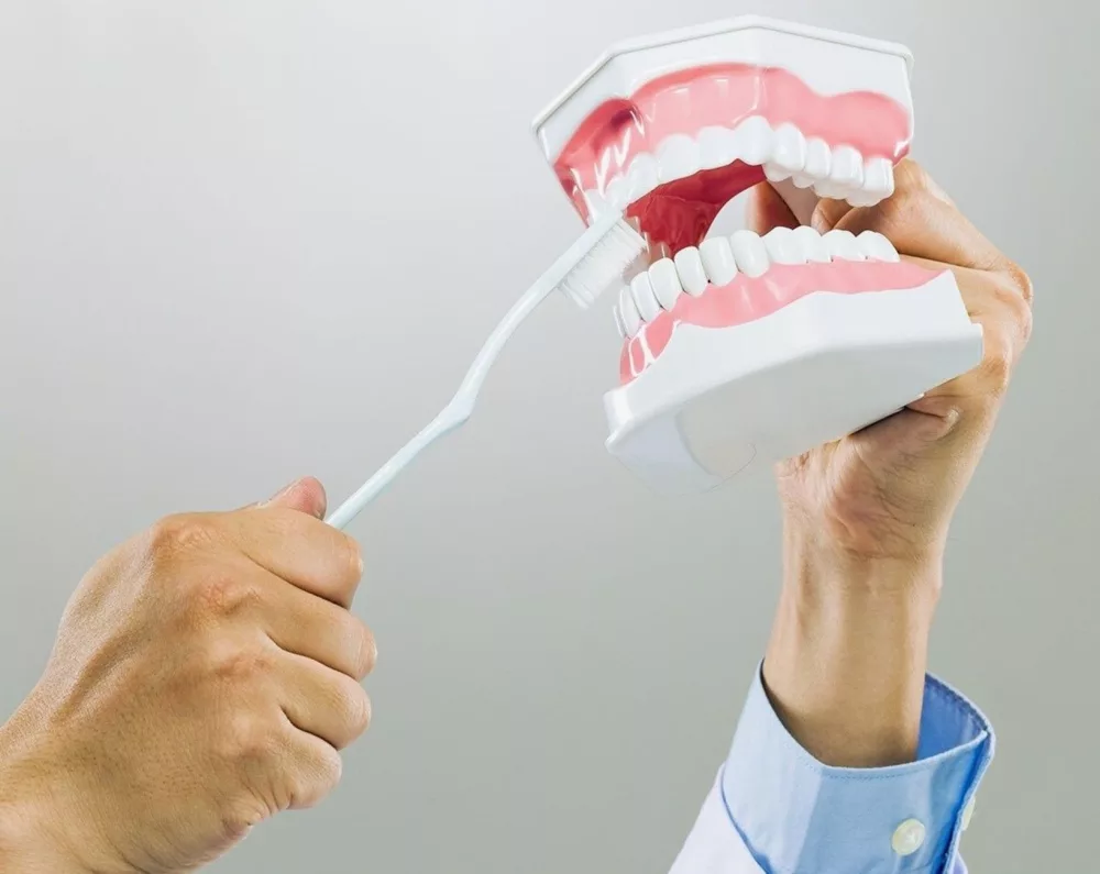 Navigating MetLife Dental Insurance: Your Comprehensive Guide to Oral Health Coverage