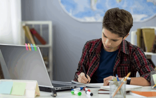 How StudySeed.net Makes Learning Easier for Class 10 Students