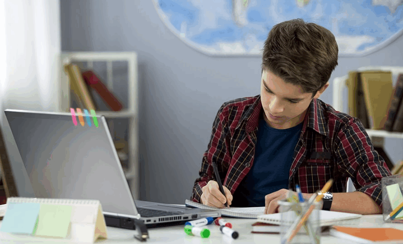 How StudySeed.net Makes Learning Easier for Class 10 Students